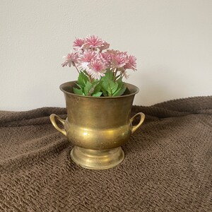 May include: A brass planter with two handles, filled with pink and white flowers. The planter is sitting on a brown fluffy surface.