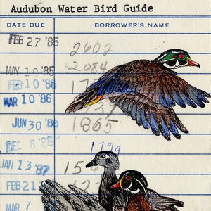 Cartão de biblioteca reciclado Audubon Water Birds