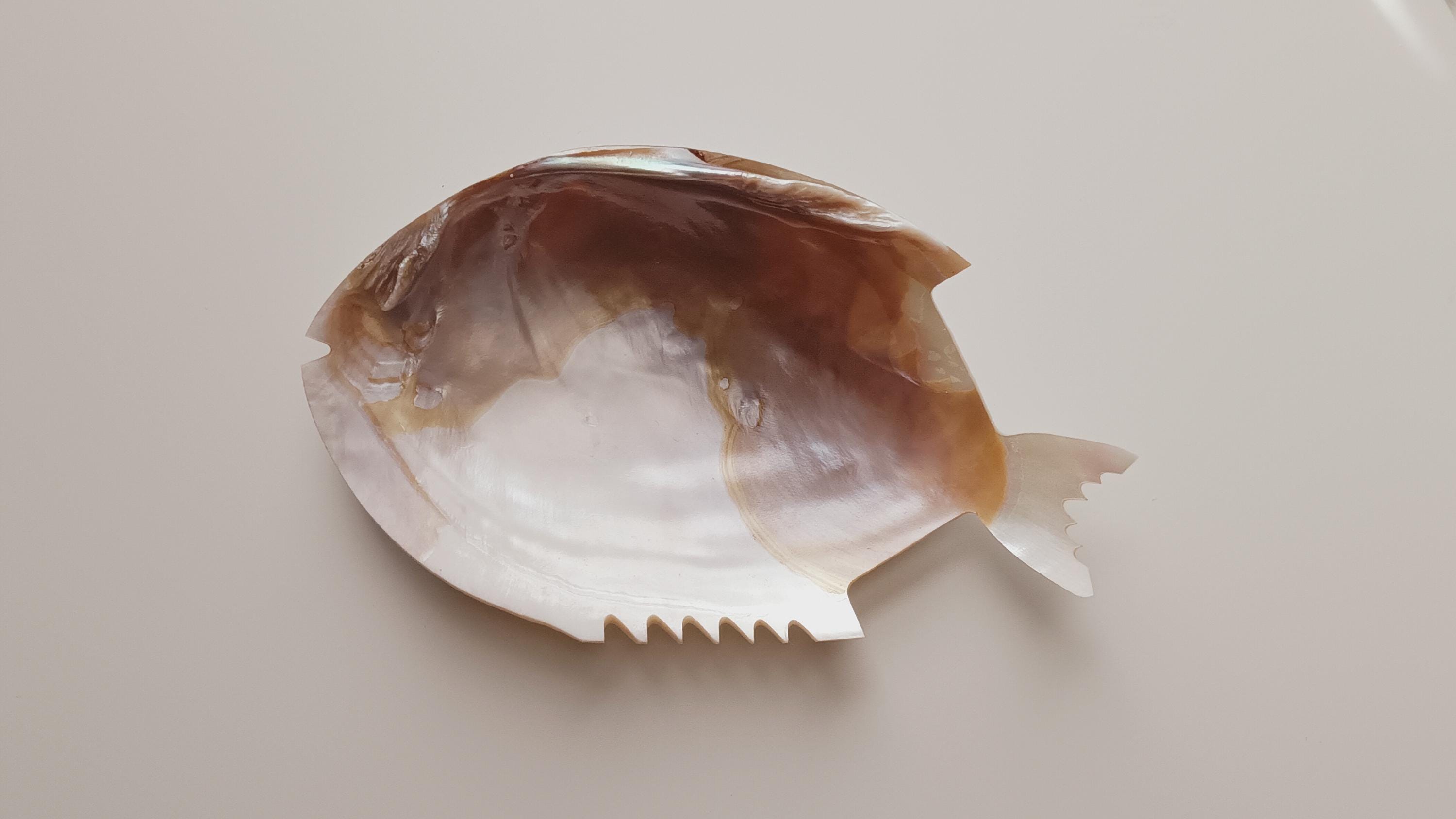 Piranha fish taxidermy - Etsy 日本