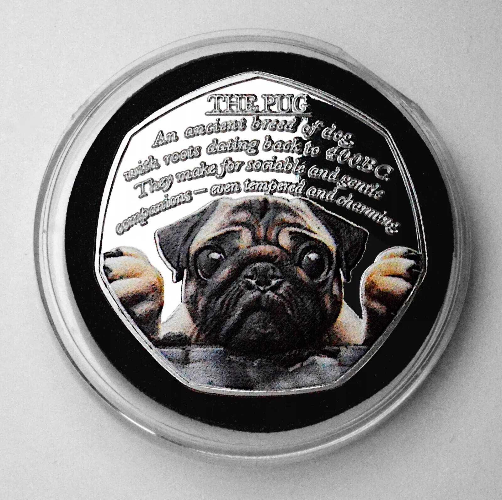 新品「THE PUG」フルカラーシルバー記念コイン。カプセル。お気に入りの犬シリーズ。パグ愛好家。子犬/パップ/最高の犬/最高の仲間 - Etsy 日本