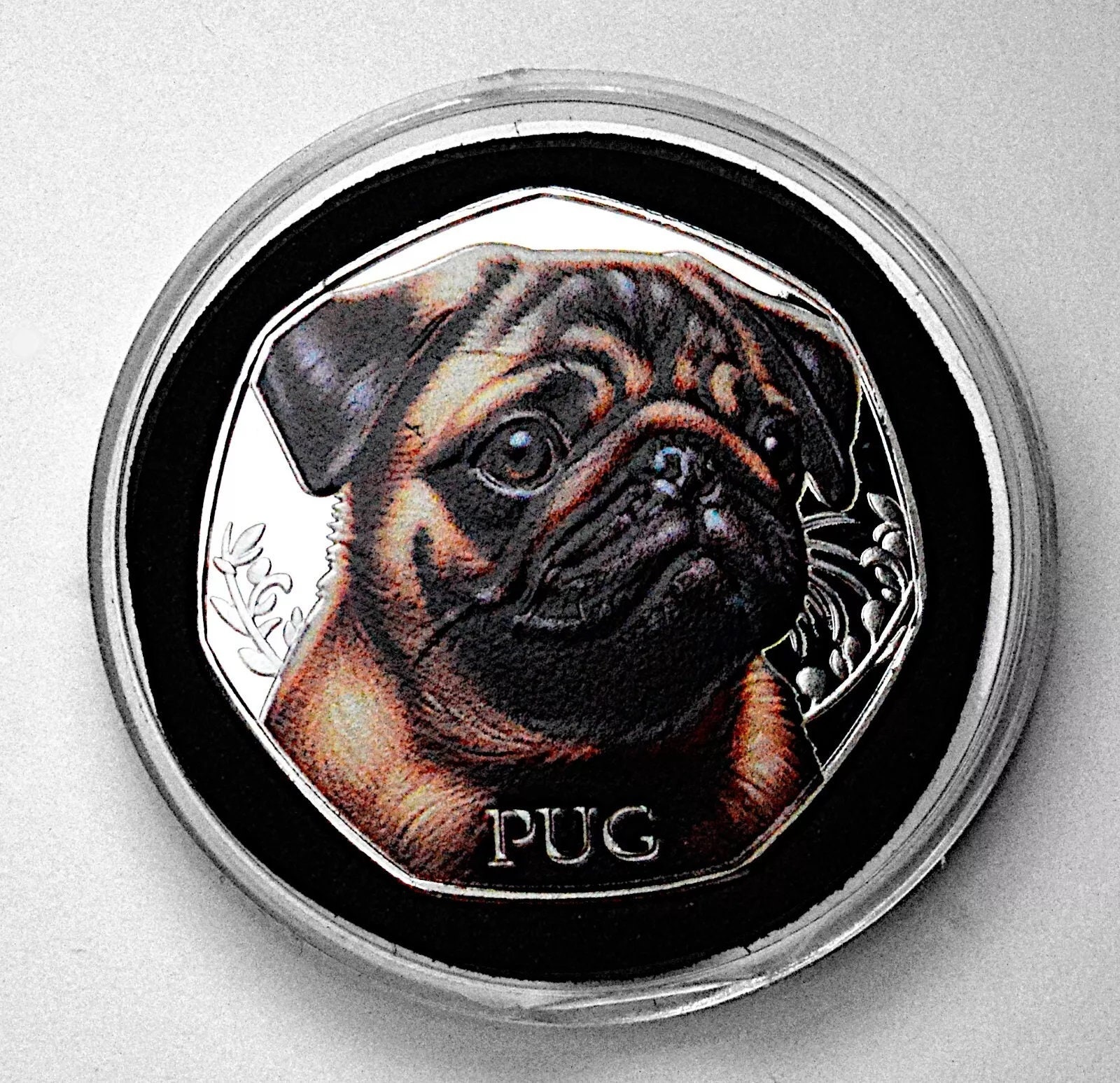 新品「THE PUG」フルカラーシルバー記念コイン。カプセル。お気に入りの犬シリーズ。パグ愛好家。子犬/パップ/最高の犬/最高の仲間 - Etsy 日本