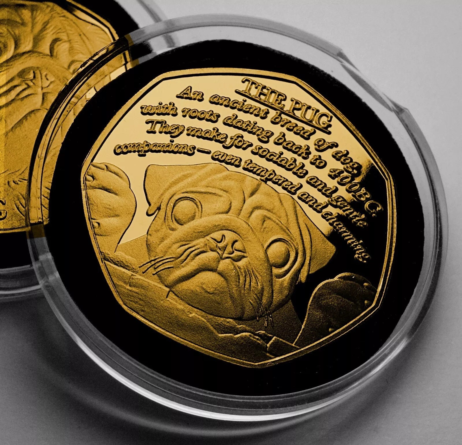 Brand New 'THE PUG' 24ct Gold Commemorative Coin in Capsule. Favourite Dogs Series. Pug Lover. Puppy/Pup Special Pet/Best Dog/Best Companion