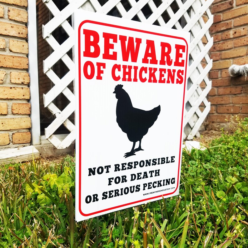 Beware Of The Chickens Novelty Beware of Chickens Warning Sign 9 x 12 | Etsy