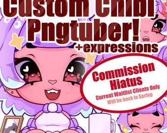 Custom PNG-tuber + 4 expressions