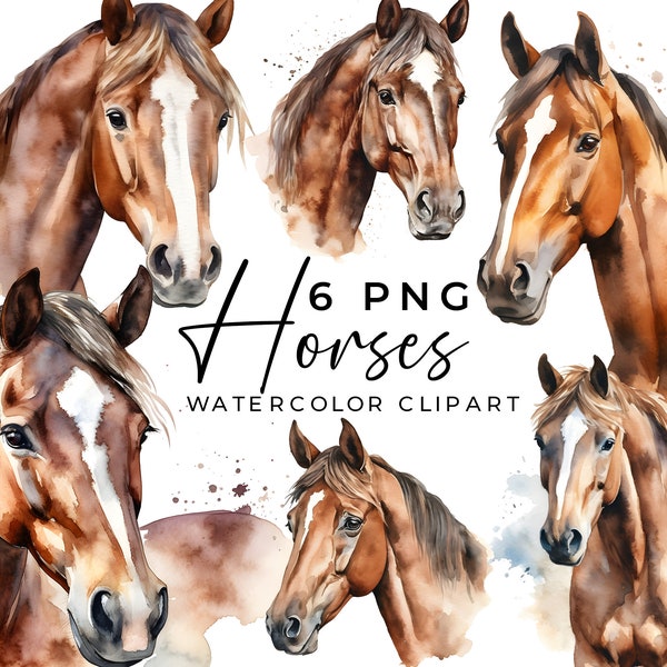 Horses Watercolor Clipart, 6 Horse Png, transparent, Brown Horse head, Horse graphics, Horses clipart, horse watercolour, commercial use