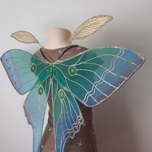 Lunaria Luna Moth Fairy Wings with Moth Antennae, Moon Moth wings for adults