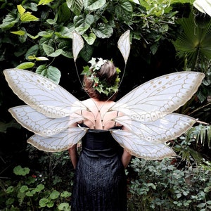 NEW!! Extra Large Cicada Fairy wings for Adults, elf wings, pixie wings for ren faire, cosplay and halloween