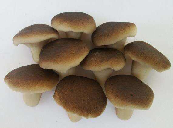 Marzipan Oyster Mushrooms 9 3d Mushroom Cake Decorations Etsy