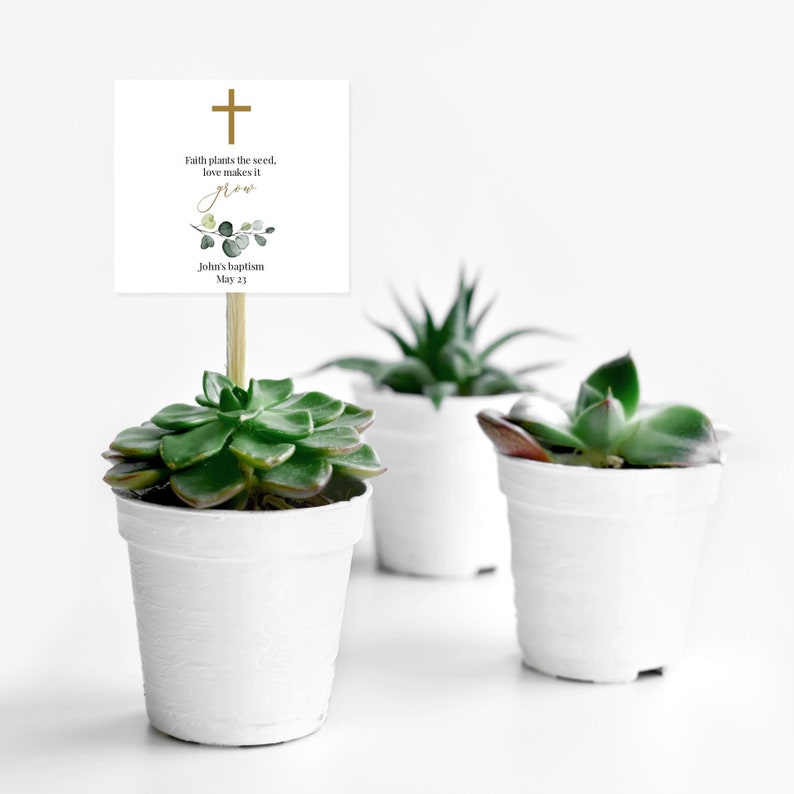 Puede incluir: Una tarjeta blanca con una cruz dorada y el texto "Faith plants the seed, love makes it grow." La tarjeta est&aacute; unida a una peque&ntilde;a planta suculenta en maceta. La tarjeta tambi&eacute;n incluye el texto "John's Baptism May 23."