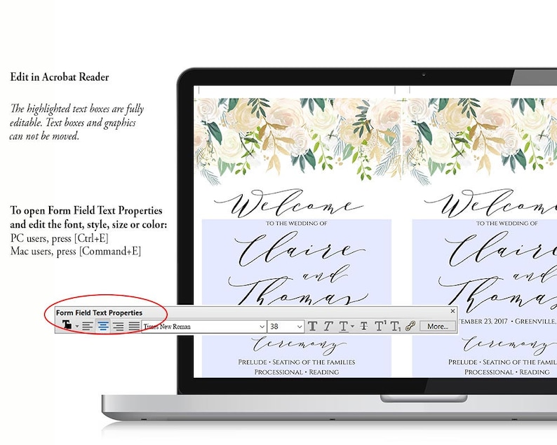 Instant Download Editable Program Wedding Program Template PDF Gold Wedding Program Printable Order Of Ceremony Ceremony Template C3