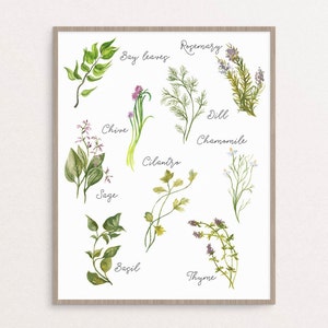 Culinary Herbs Printable, Kitchen Art, Herbs Collection, Herbs Wall Art ...
