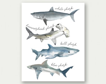 Shark Poster, Shark Print, Shark Species, Watercolor Sharks, Shark Printable, Shark Nursery Decor, Shark Nursery Poster, Boy Nursery Artwork
