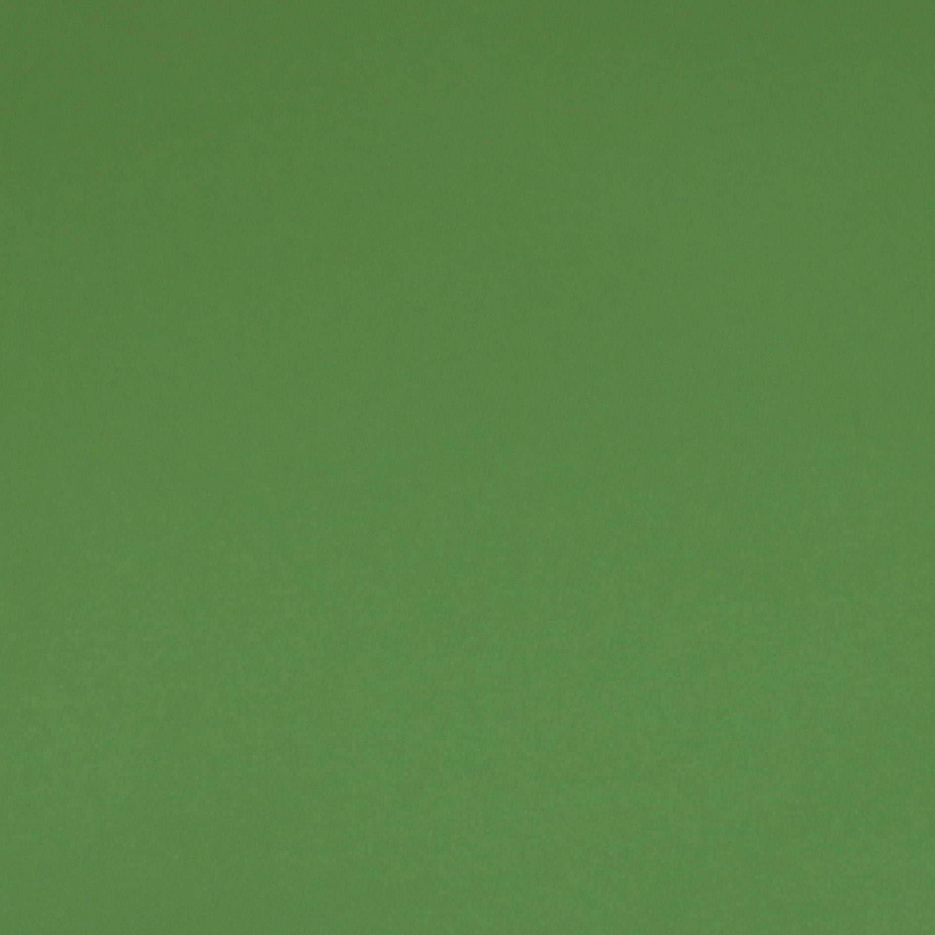 12x12 Light Green Bumpy Smooth Paper Cardstock 15 Sheets Etsy