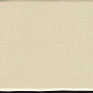 May include: A plain, off-white ceramic tile.