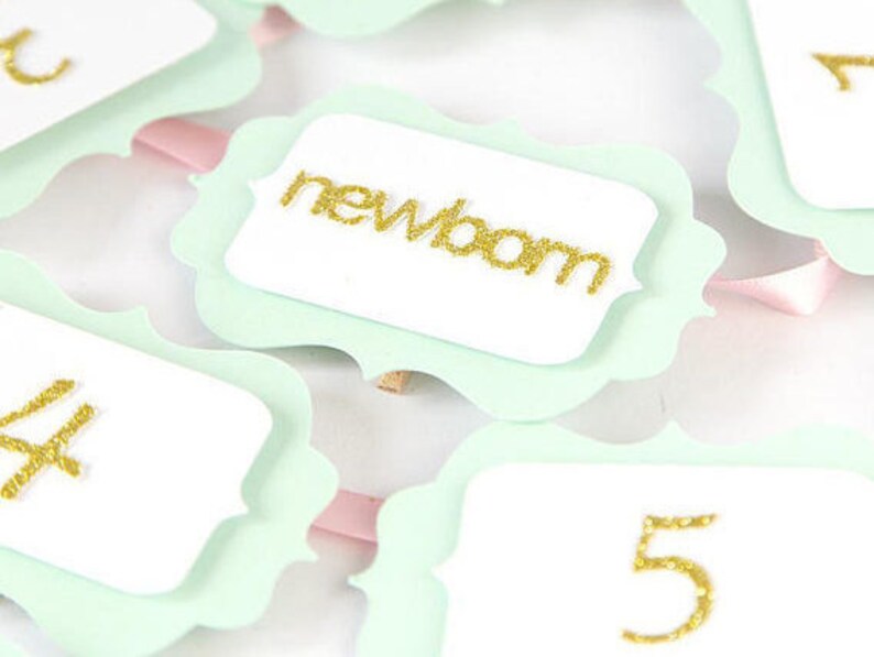 Party Decorations 12 months Banner Wall decoration Birthday girl Pink and gold 1st Birthday Party 12 MONTHS PHOTO BANNER Cake Smash