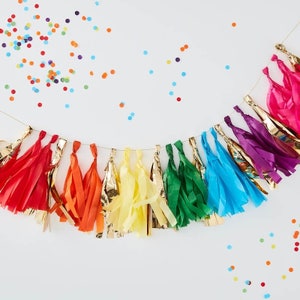 Party Rainbow Tassel Garland// Birthday Back Drop//First Birthday//Summer Party //Bunting//Garland //Wall Banner//Party Decoration// Baby