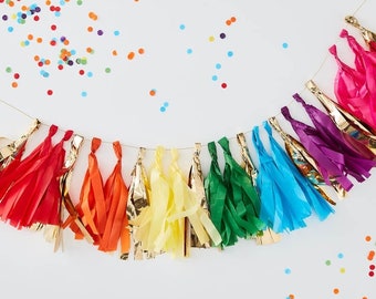Party Rainbow Tassel Garland// Birthday Back Drop//First Birthday//Summer Party //Bunting//Garland //Wall Banner//Party Decoration// Baby