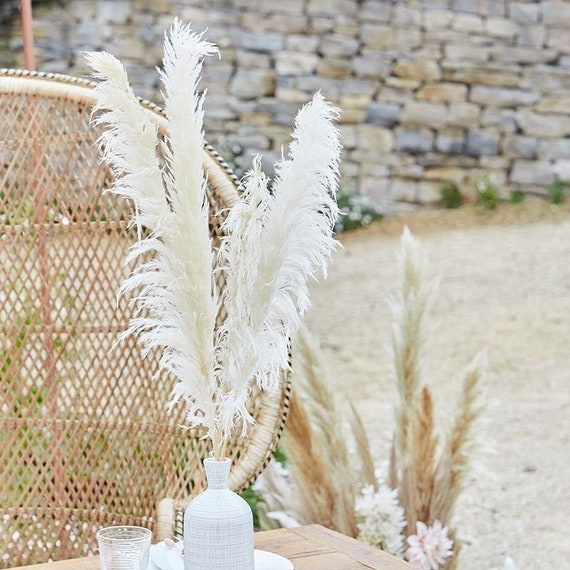 Gebleichte weiße Pampasgras Stiele (5 Stiele): Boho Hochzeitsdeko