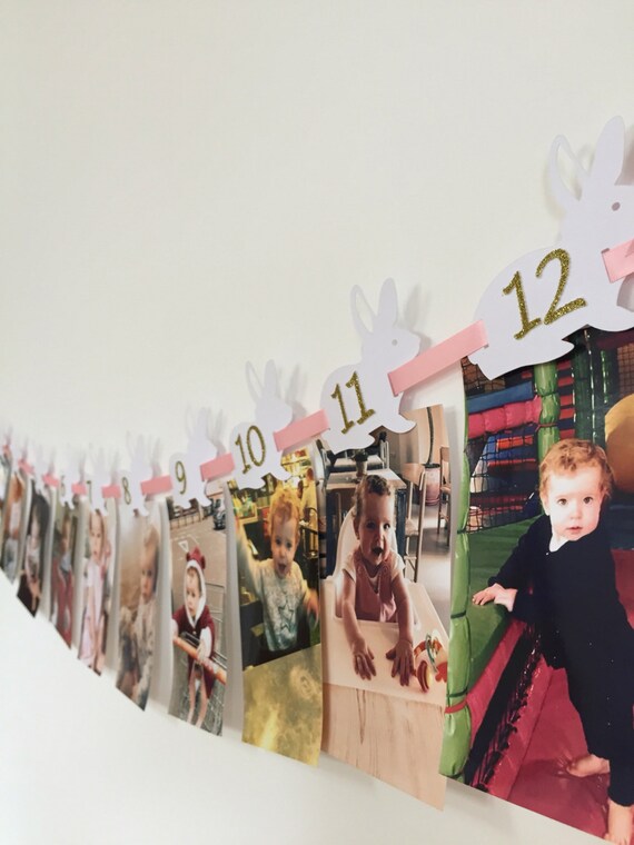 Birthday Photo Wall Banner Bunnies Birthday Party Ideas Etsy