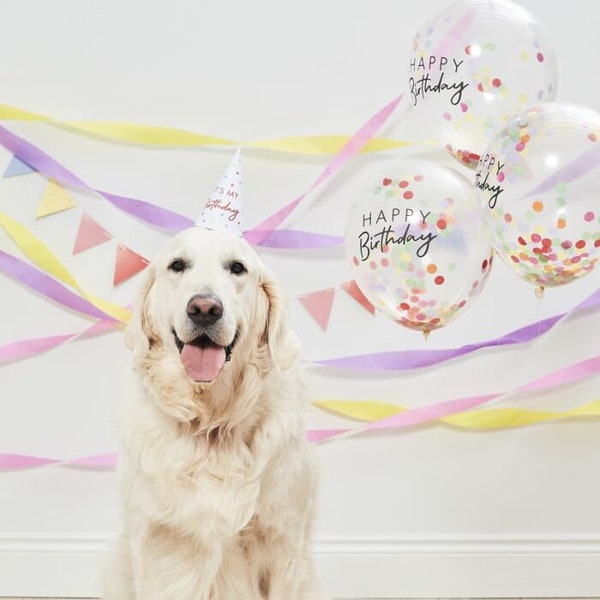 Pet Birthday Party Kit For Dogs and Cats/ Birthday Party Decorations Kit/Family Pet /Party Hat / Bunting /Confetti Balloons / Crepe Rolls