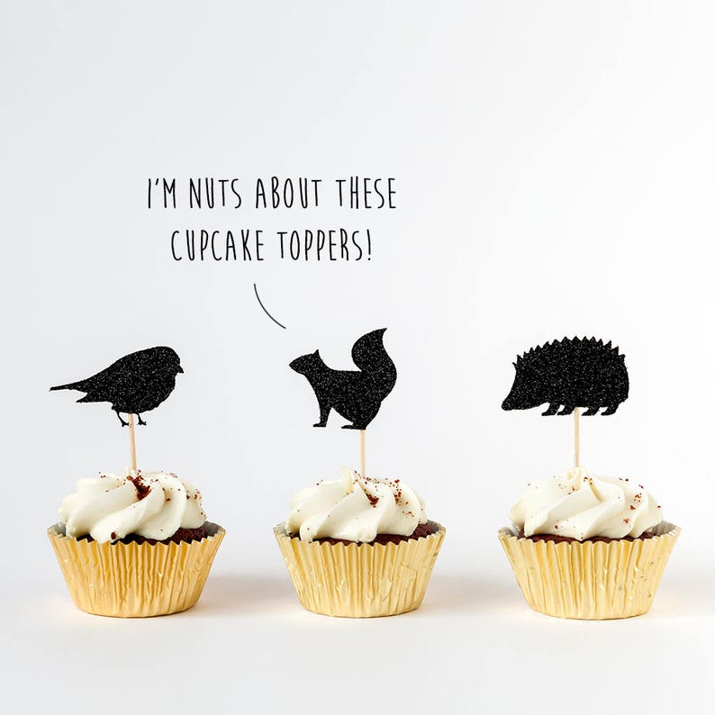 Custom Colour Glitter.First Birthday Party Decoration 12 Cake Toppers. Woodland Animal Cupcake Toppers Bird Squirrel Hedgehog