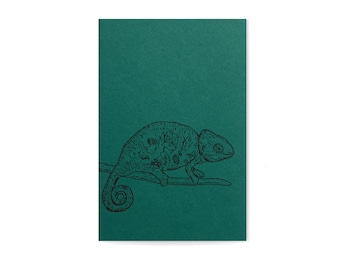 NOTEBOOK *Chameleon* turquoise, DIN A5