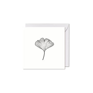GRUSSKARTE *Ginkgoblatt*, 14 x 14 cm