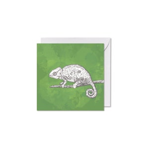 GRUSSKARTE *kleines Chamaeleon*, 14 x 14 cm