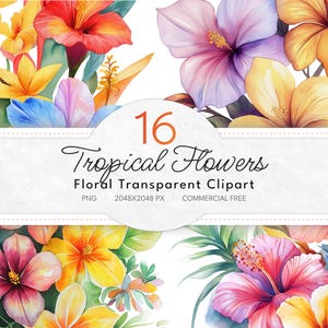 Tropical Floral Clipart Collection | Exotic Watercolor Design | Premade Clipart Digital Papers | Transparent PNG | Instant Digital Download