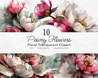Blush Peonies Watercolor Clipart | Romantic Pink Peony  | Premade Clipart | Transparent PNG | Vintage Wedding Clipart | Commercial Free