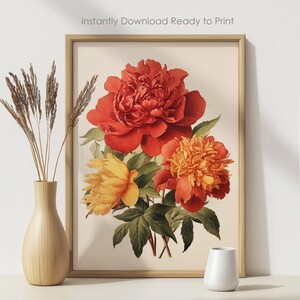 Vintage Peony Flower Art Print | Botanical Farmhouse Wall Art Decor | Downloadable | Printable Digital Art