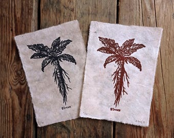 Art print// Mandrake