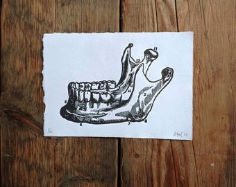 Art print // Lower jaw