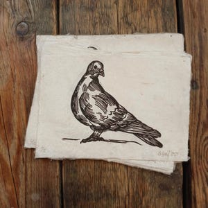 Art print// the dove