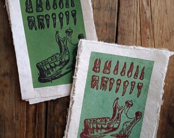 Art print // Teeth and jaw