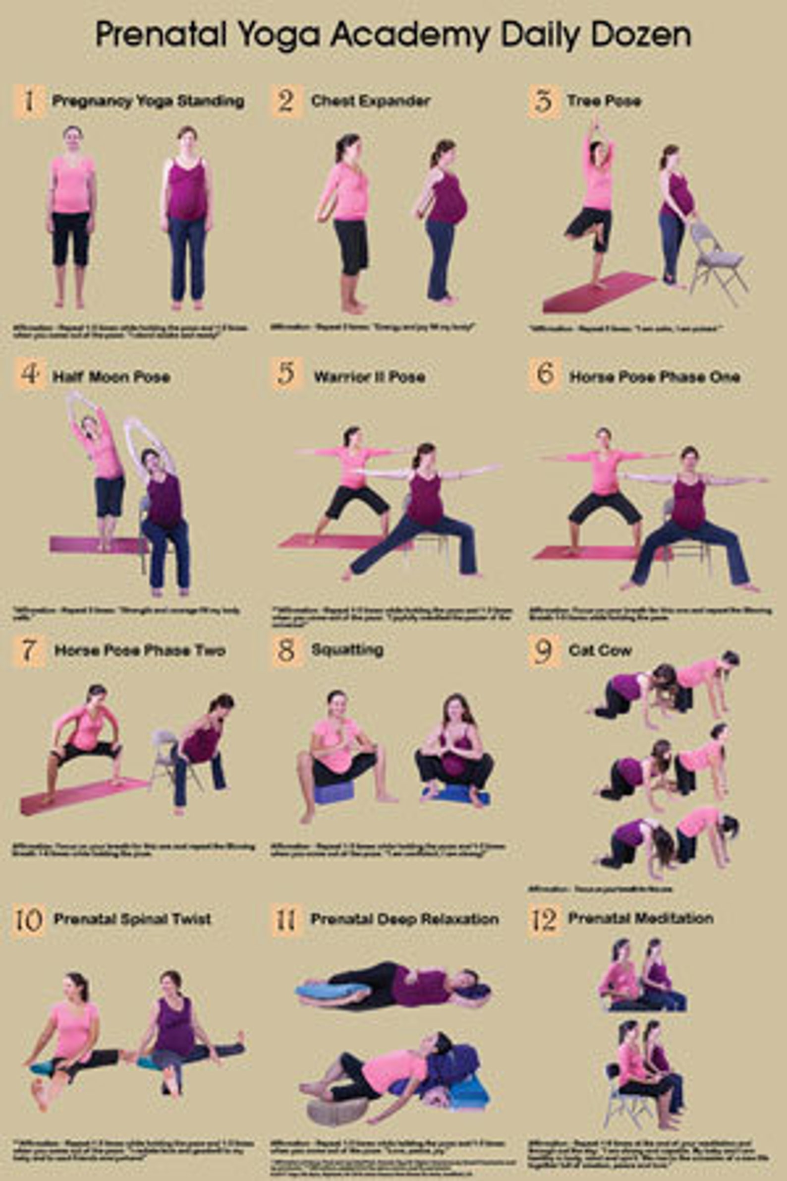 prenatal-yoga-academy-daily-dozen-yoga-during-pregnancy-poster-etsy