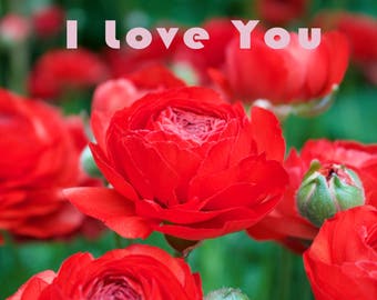 Love Rose Card/ Digital Greeting Card/ Instant Download/ Ready to print 8.5x5.5 foldable/ Grusskarte/ Customizable