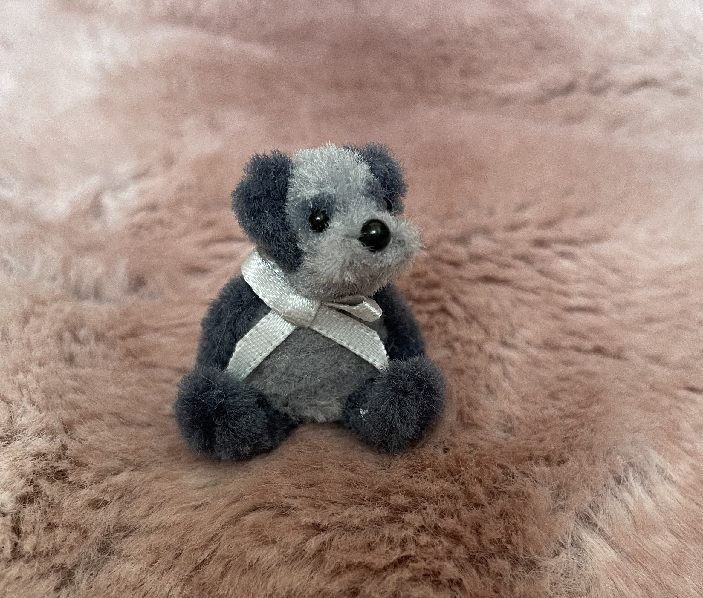 Grey teddy bear dog hot sale