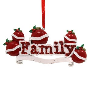 Family Christmas Bulb Family of 5 Personalized Christmas Ornament