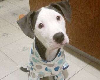 pitbull onesie for adults