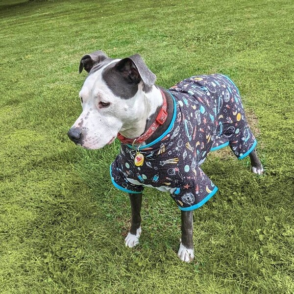 Large Breed Dog Clothes Etsy