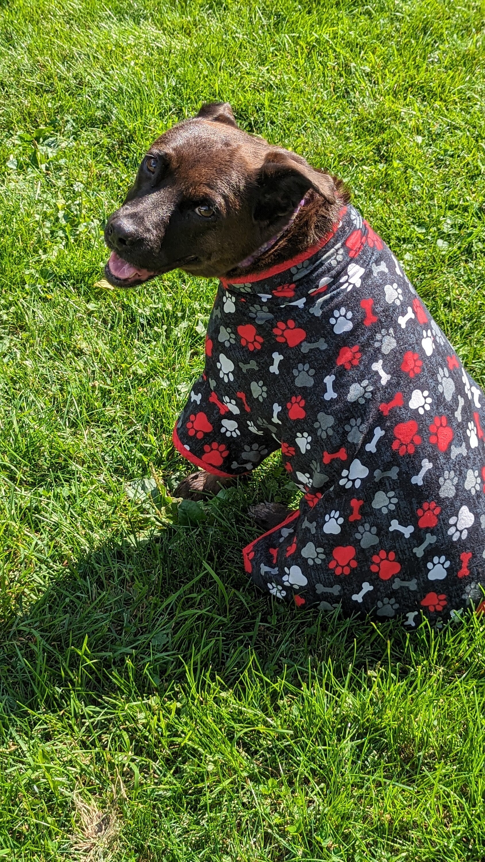 Dog Paw Pajamas Etsy Canada