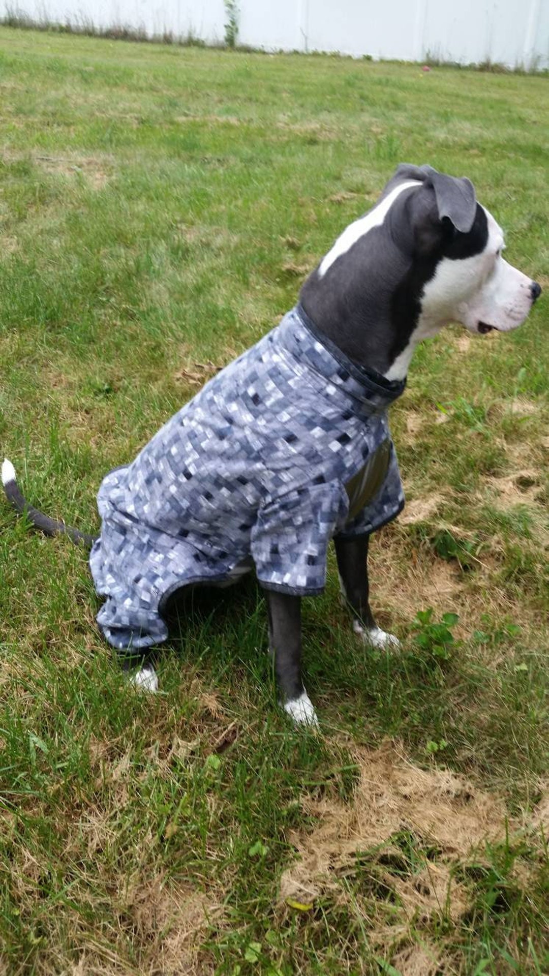 Large Breed Dog Pajamas Flannelgrey and Black Lounge Wear Etsy