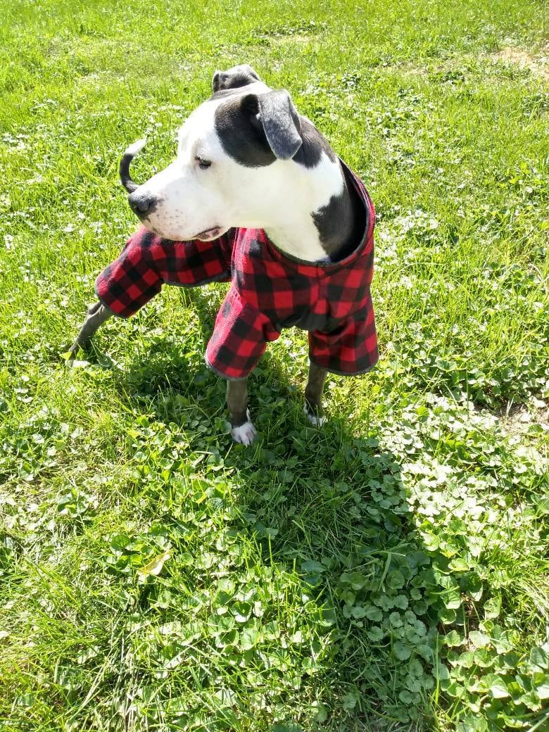Dog Pajamas Red and Black Buffalo Plaid Dog Clothes Custom Sizes Available up to 42 Inch Chest Size S to XXL Etsy Canada