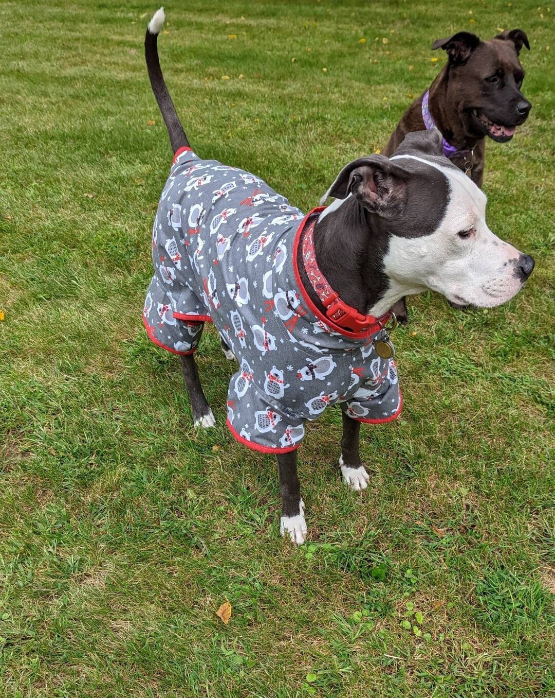 Bear Print Flannel, Ski Bear, Winter Dog Shirt, Large Clothes, Flannel ...