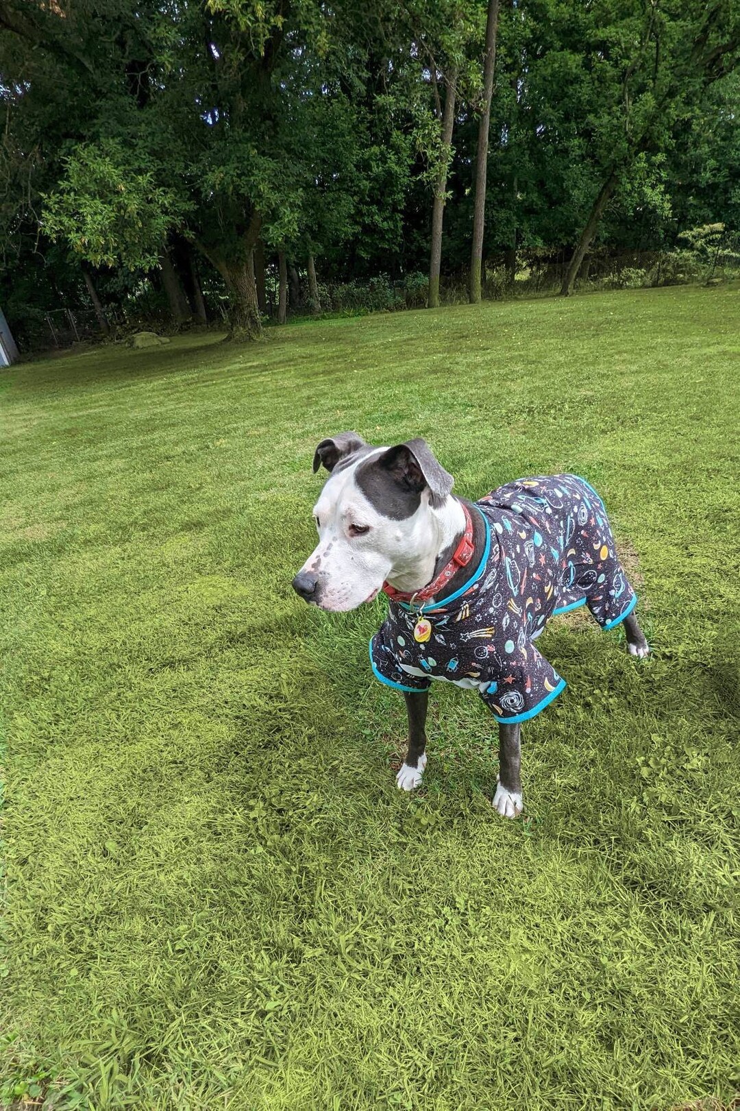 Flannel Pajamas Large Breed Dog Clothesdog Pajamas Clothes Etsy