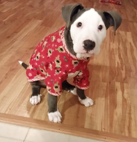 dog sleepwear