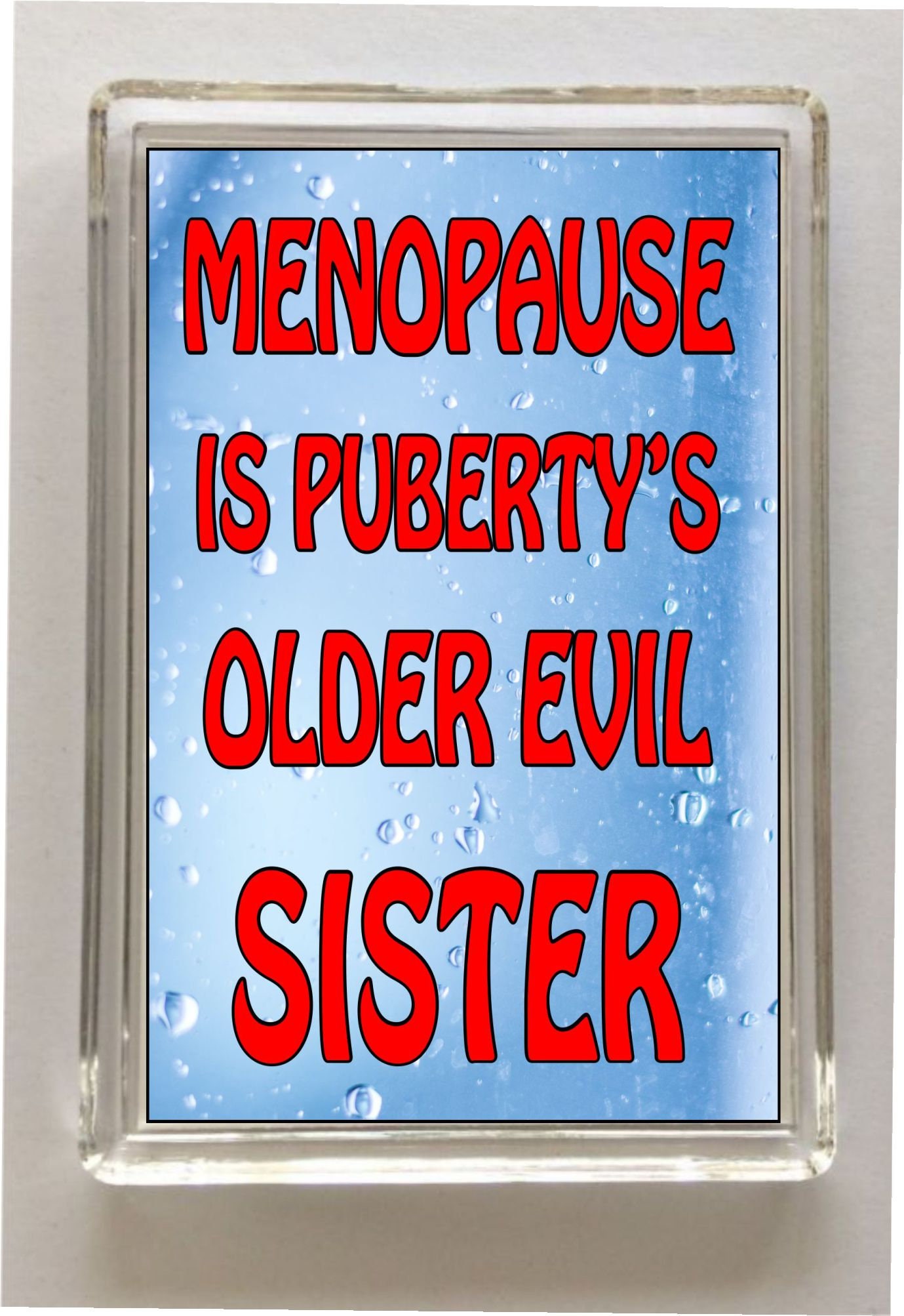 Menopause Fridge Gift Friendship Funny Thank You Etsy