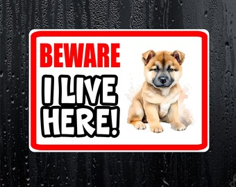 Akita Sticker - Beware I Live Here - Cute House Home Window Door Porch Dog Warning Decal