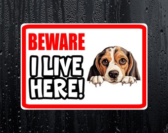 Beagle Sticker - Beware I Live Here - Cute House Home Window Door Porch Dog Warning Decal